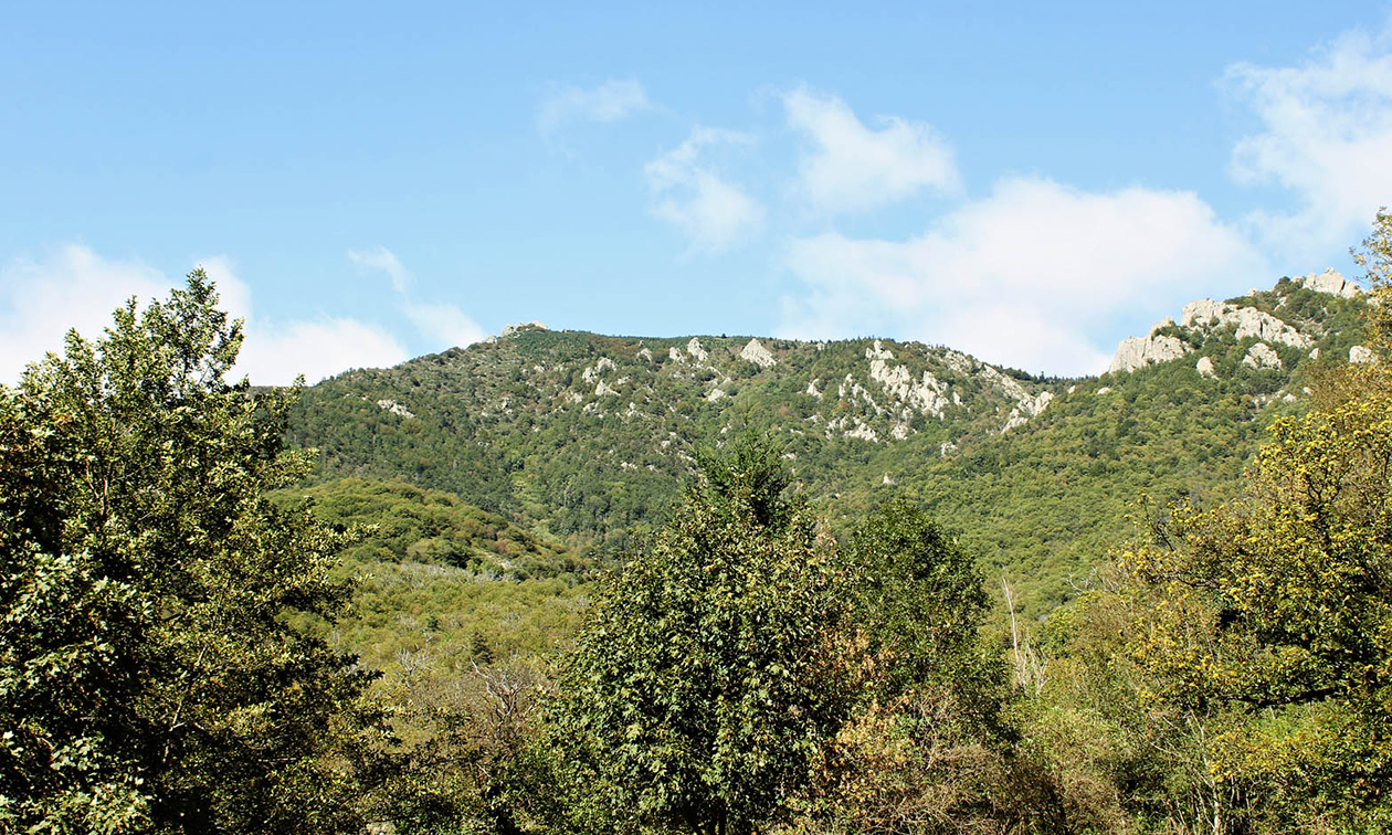 Auberge Le Romarin