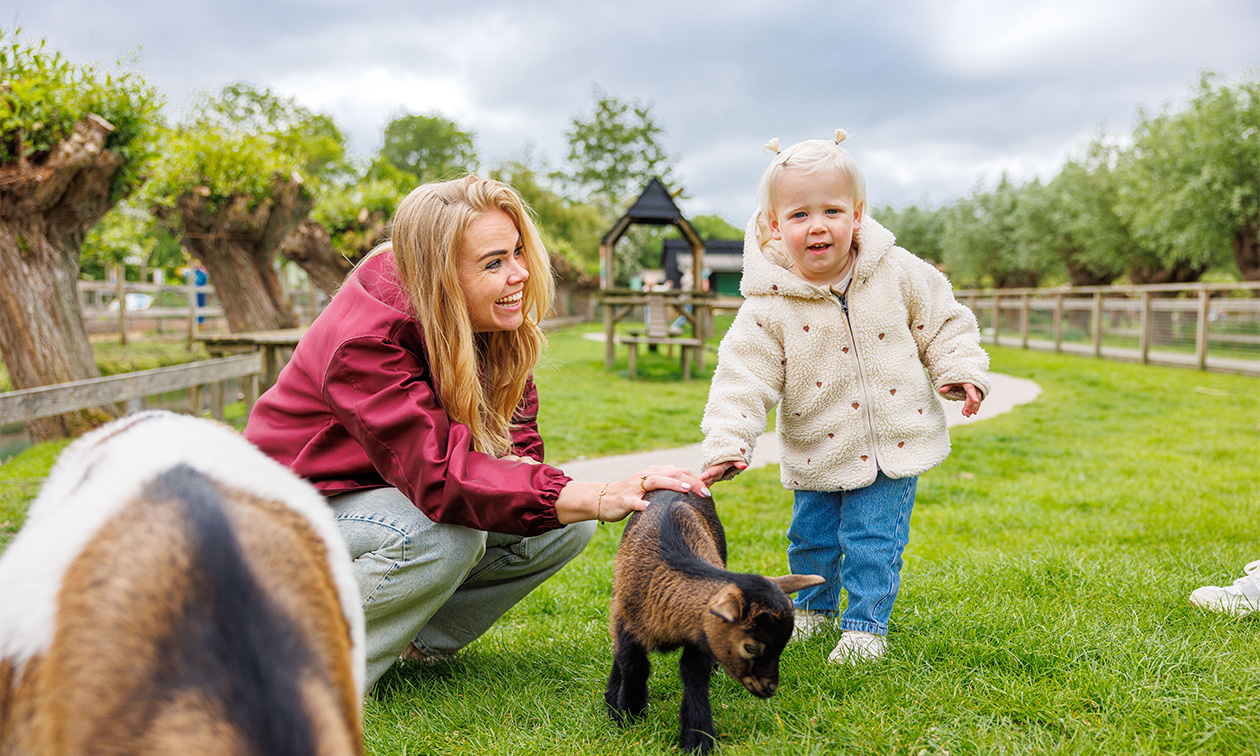 Avonturenboerderij Molenwaard