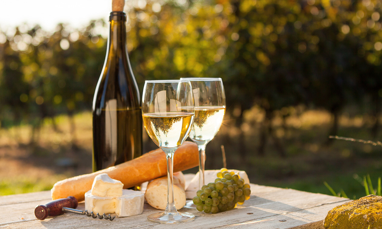 La Balade des Gnomes