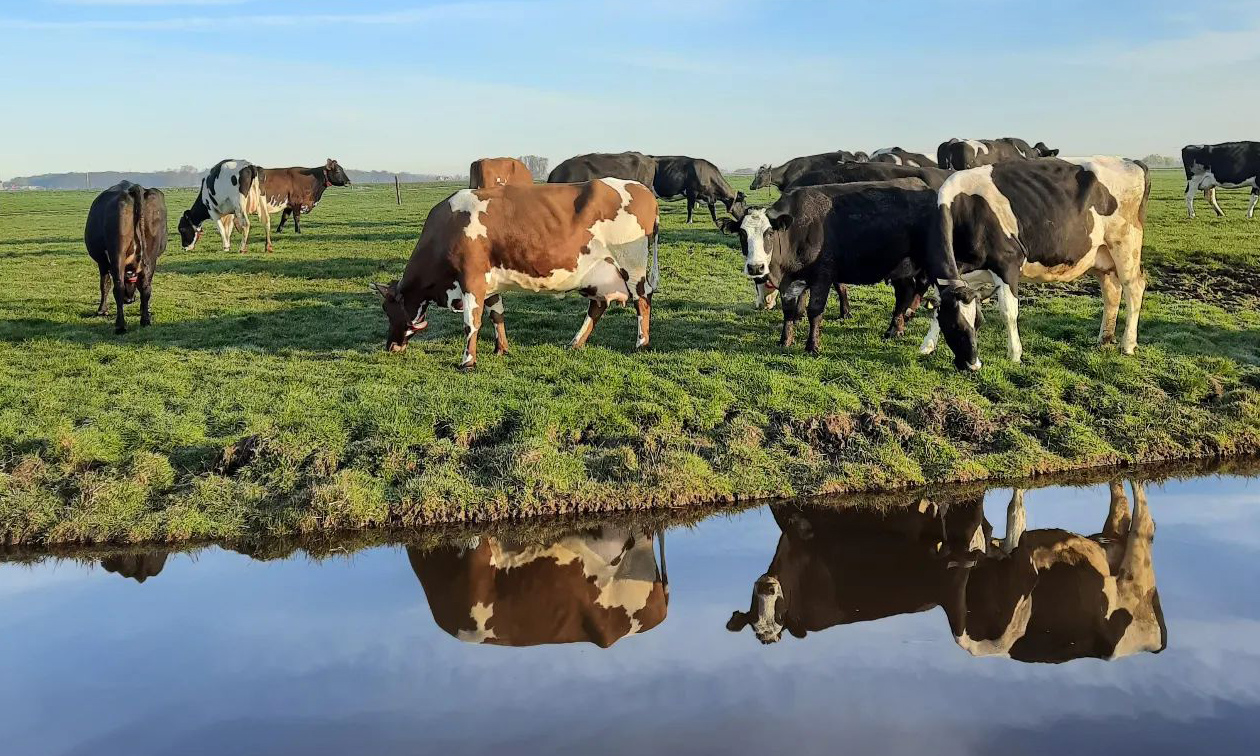 Boerderij Boterhuys
