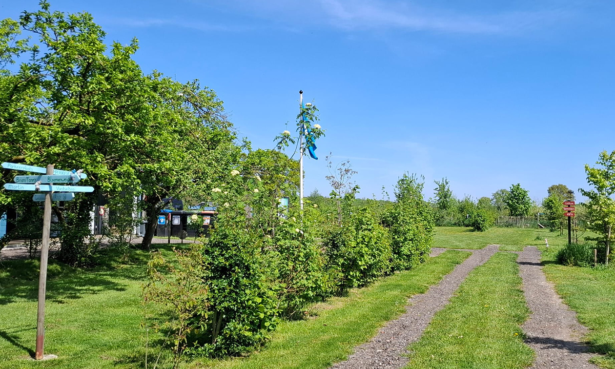 Camperhoeve On the Road Again