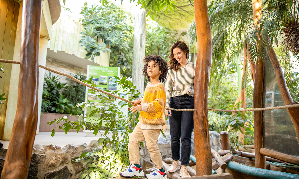 Center Parcs de Haan