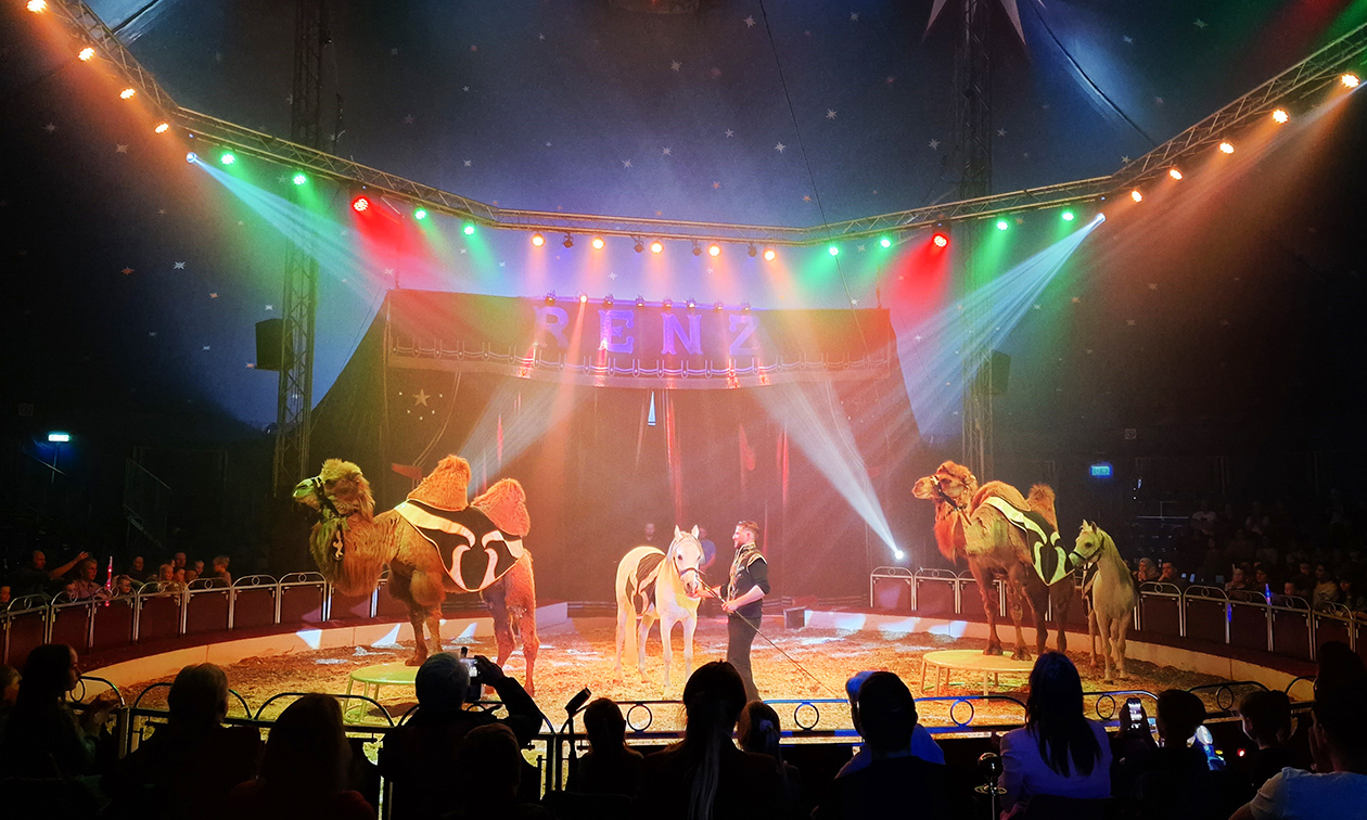 Circus Renz International