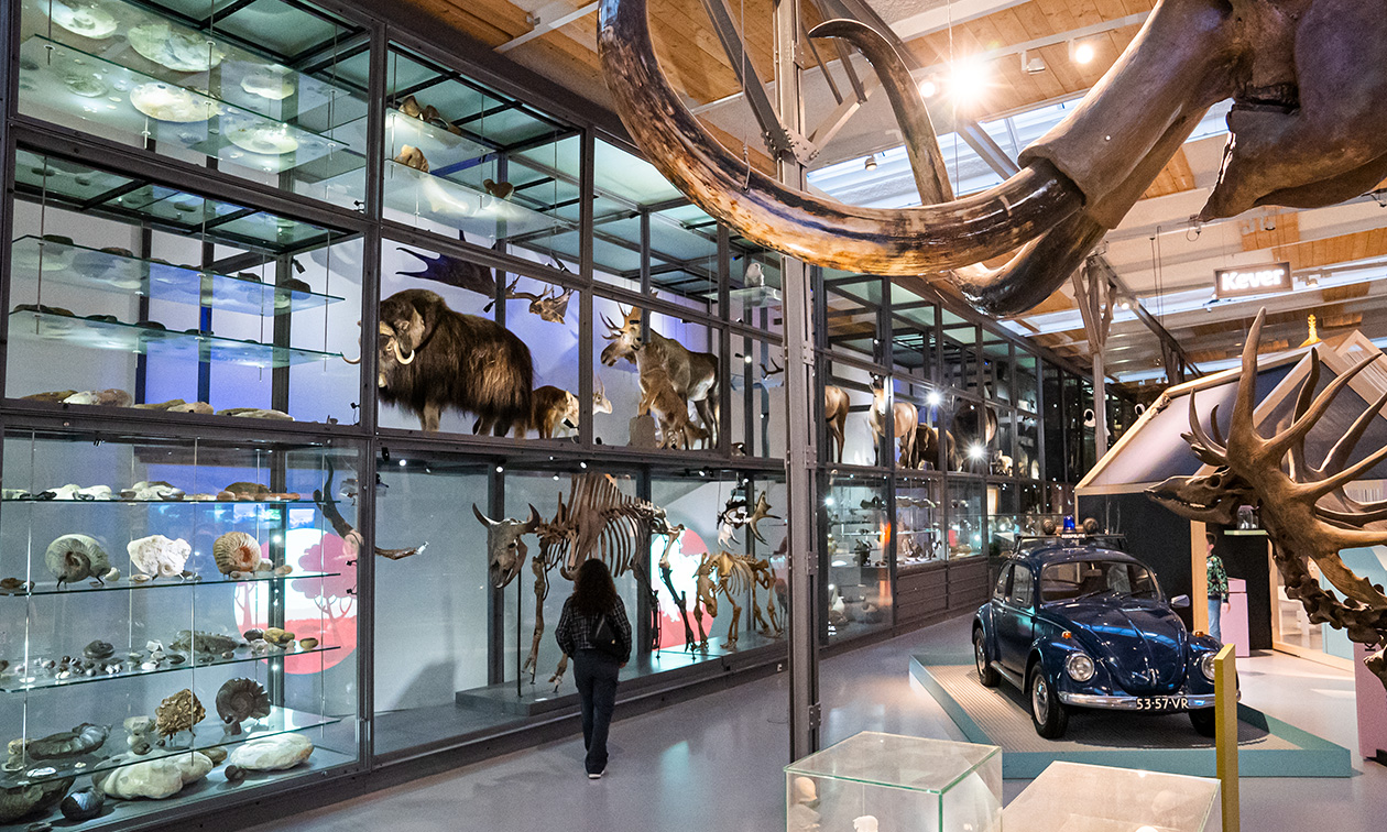 De Museumfabriek