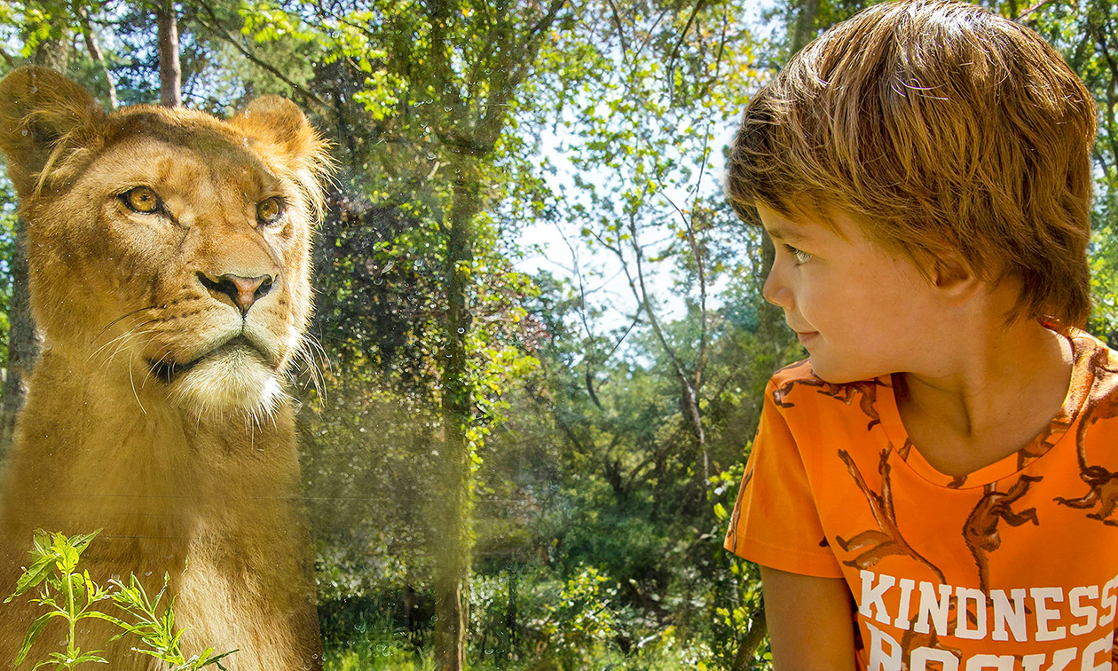 DierenPark Amersfoort