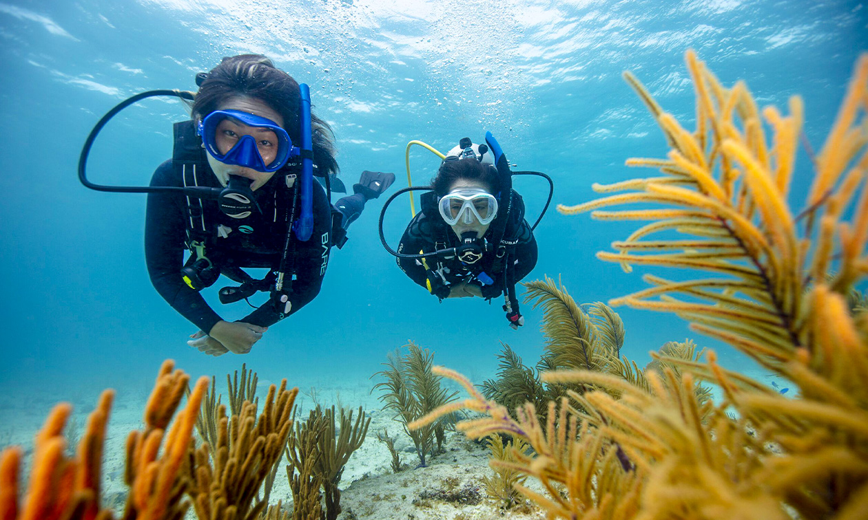 Duikschool divearound