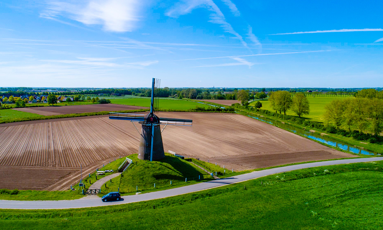 Herberg de Gouden Leeuw