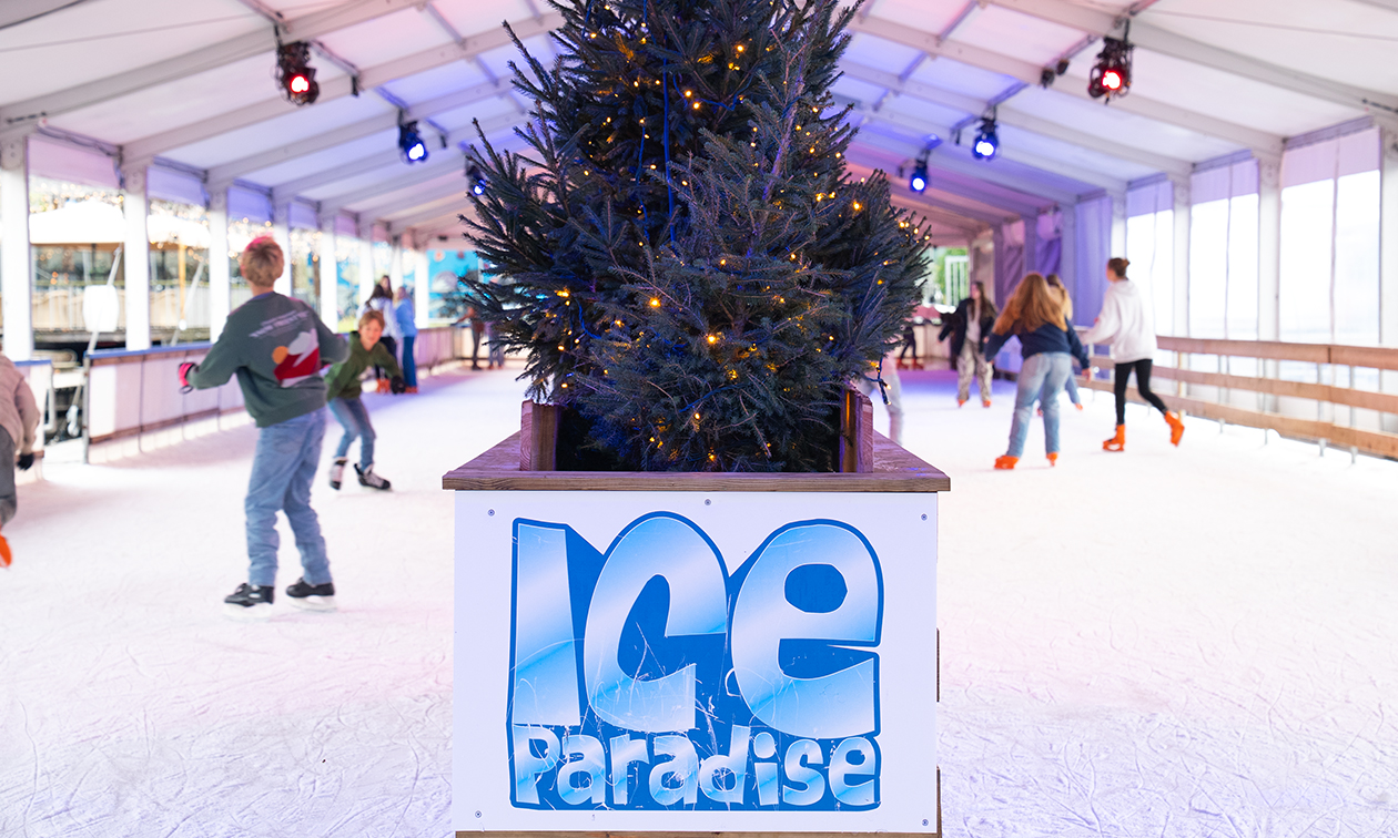 Ice Paradise