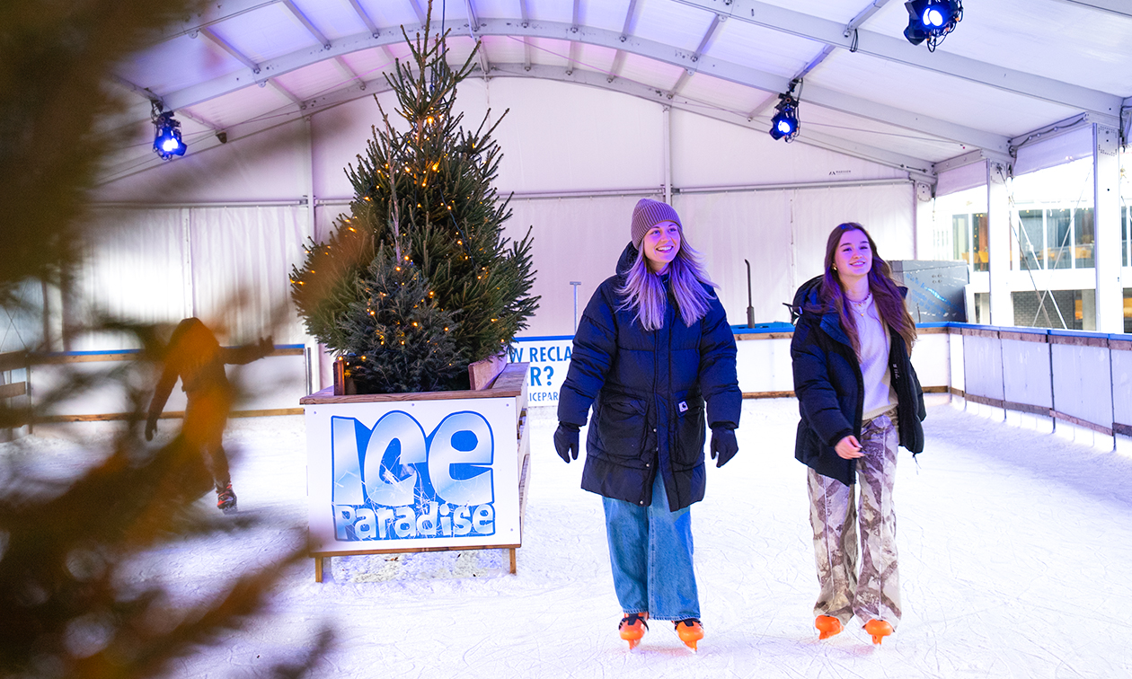 Ice Paradise