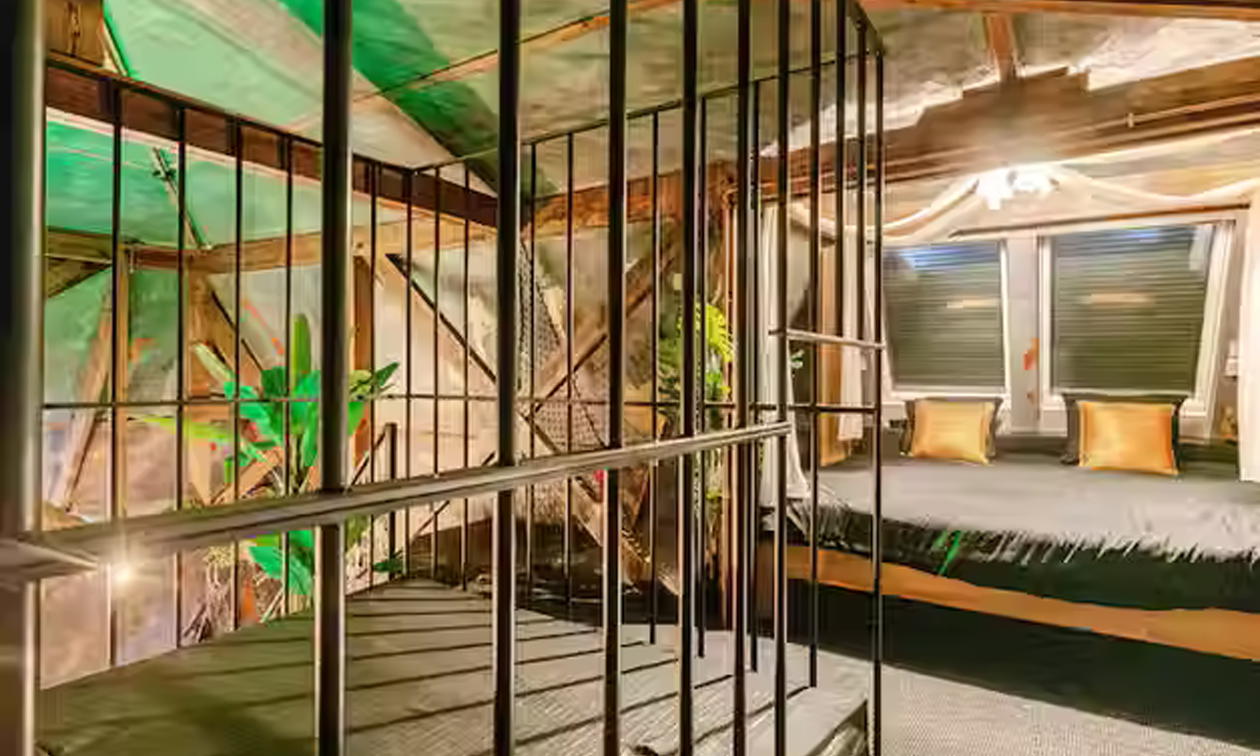 Intense Sense Experience