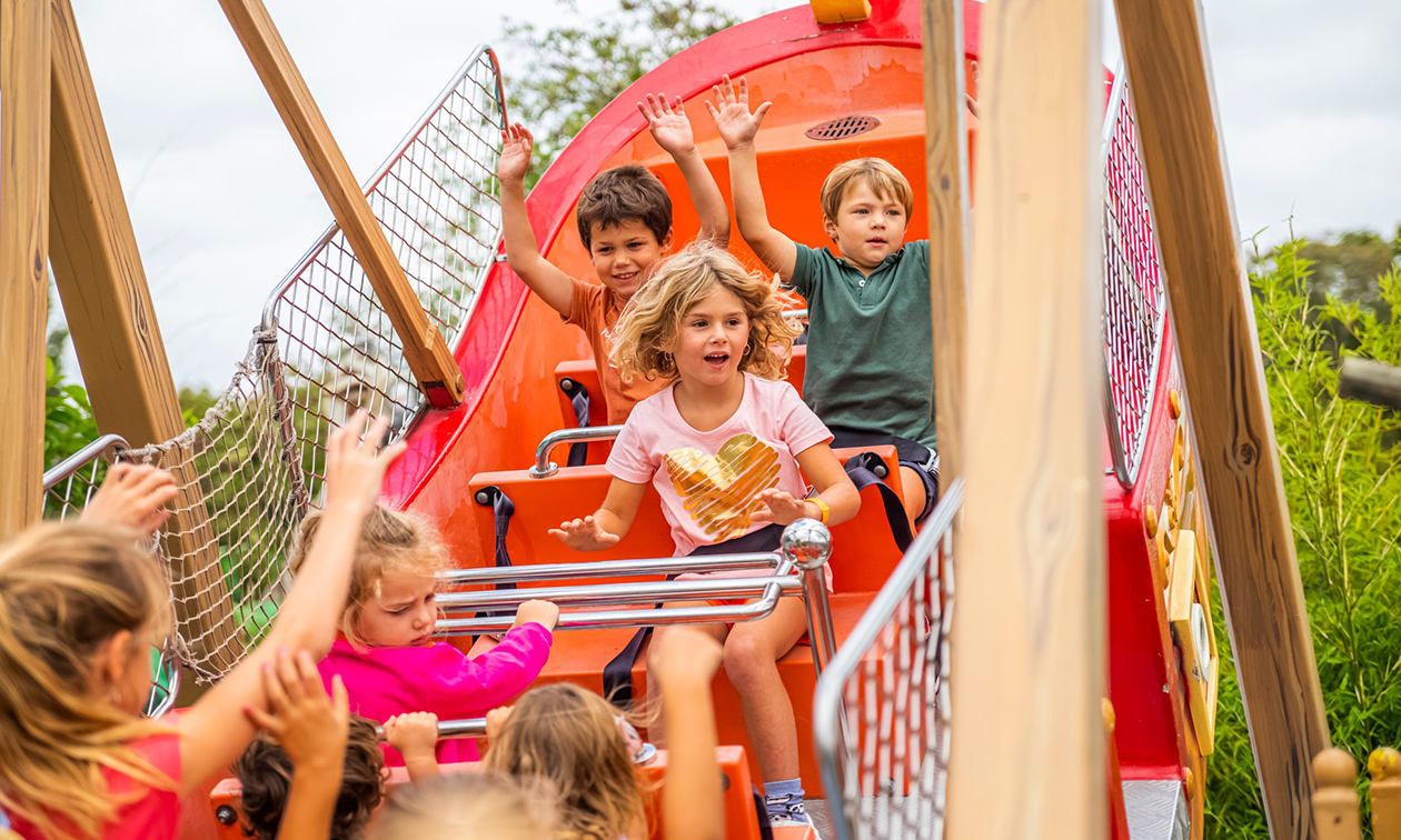 Jungle City