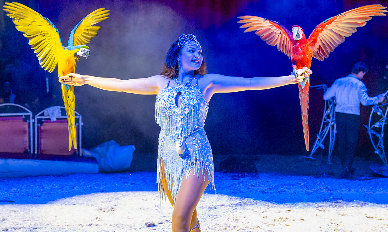Kerstcircus Nijmegen