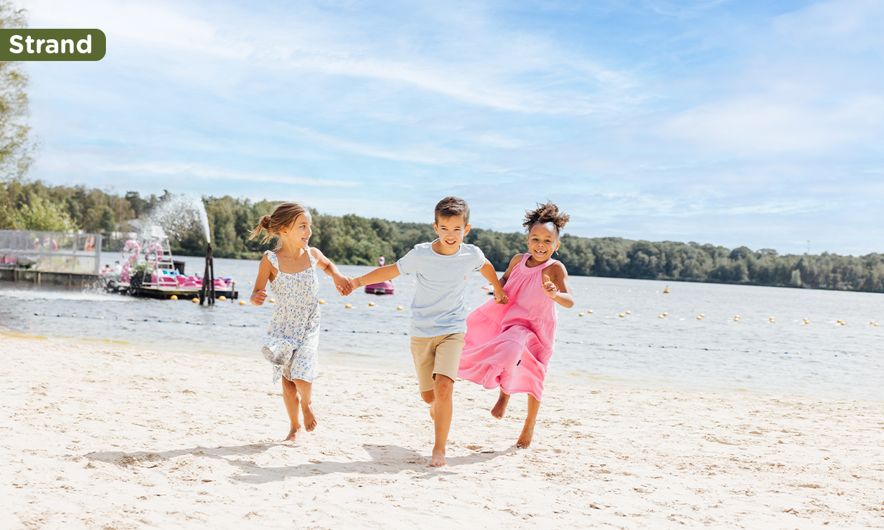 Lake Resort Beekse Bergen