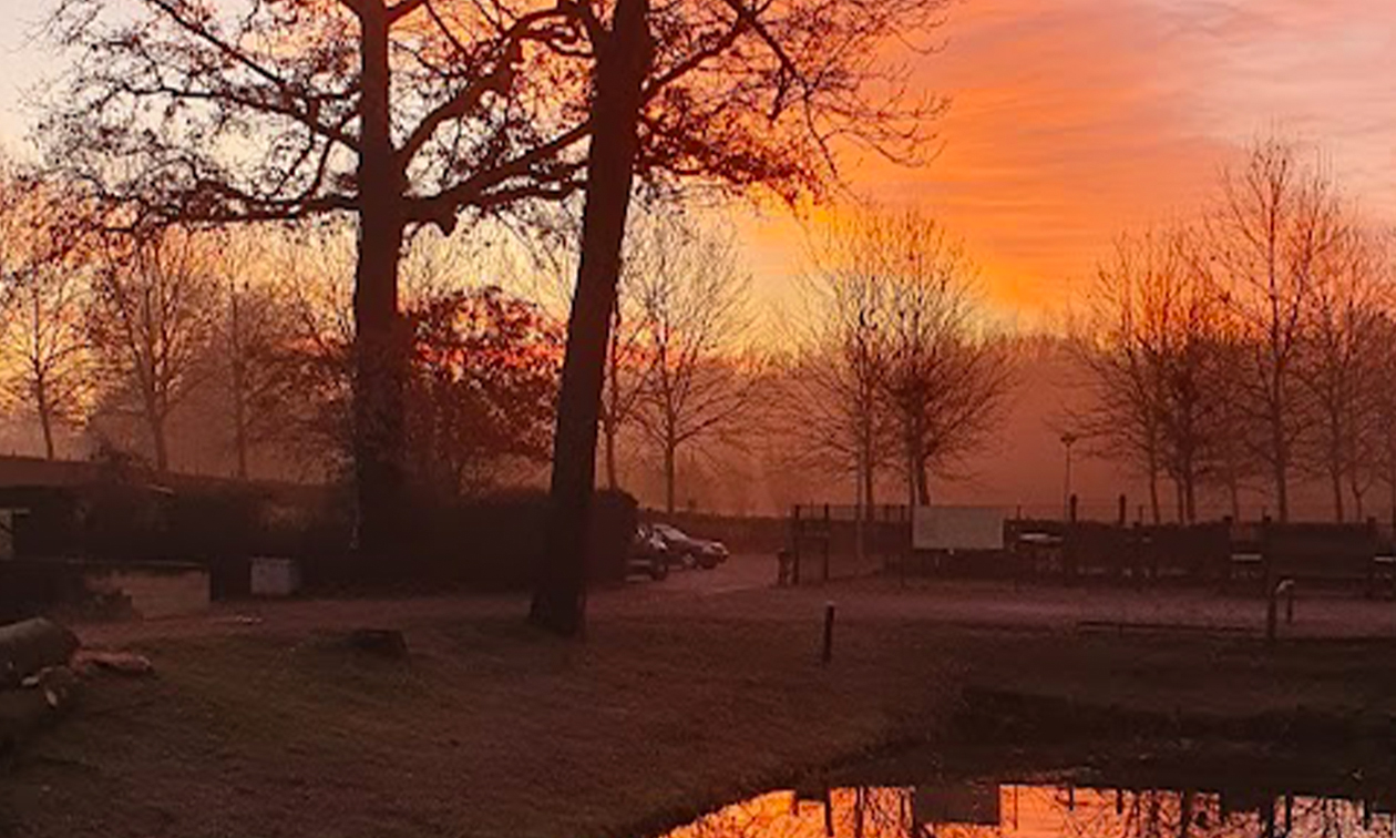 Landgoed Kasteel Terborgh