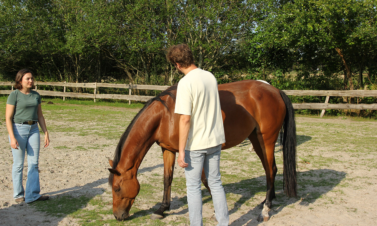 Leadrope Coaching