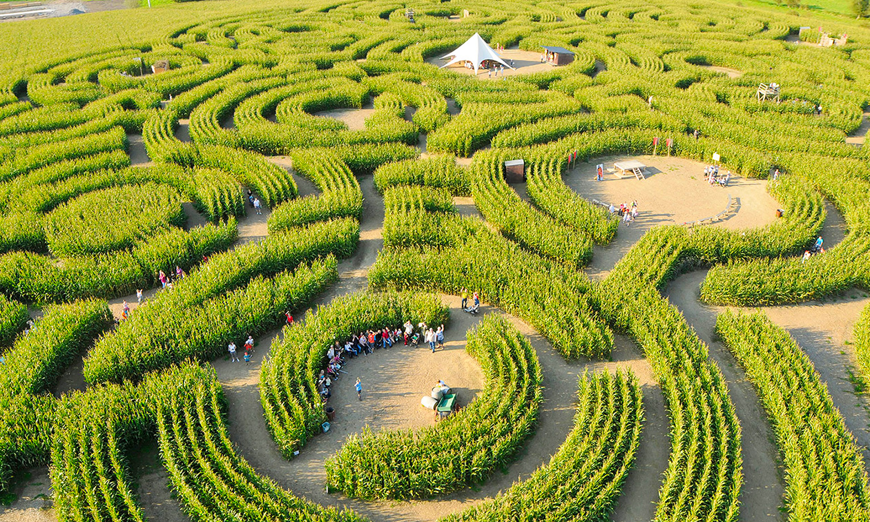 L’Impéri'Ale Hotel