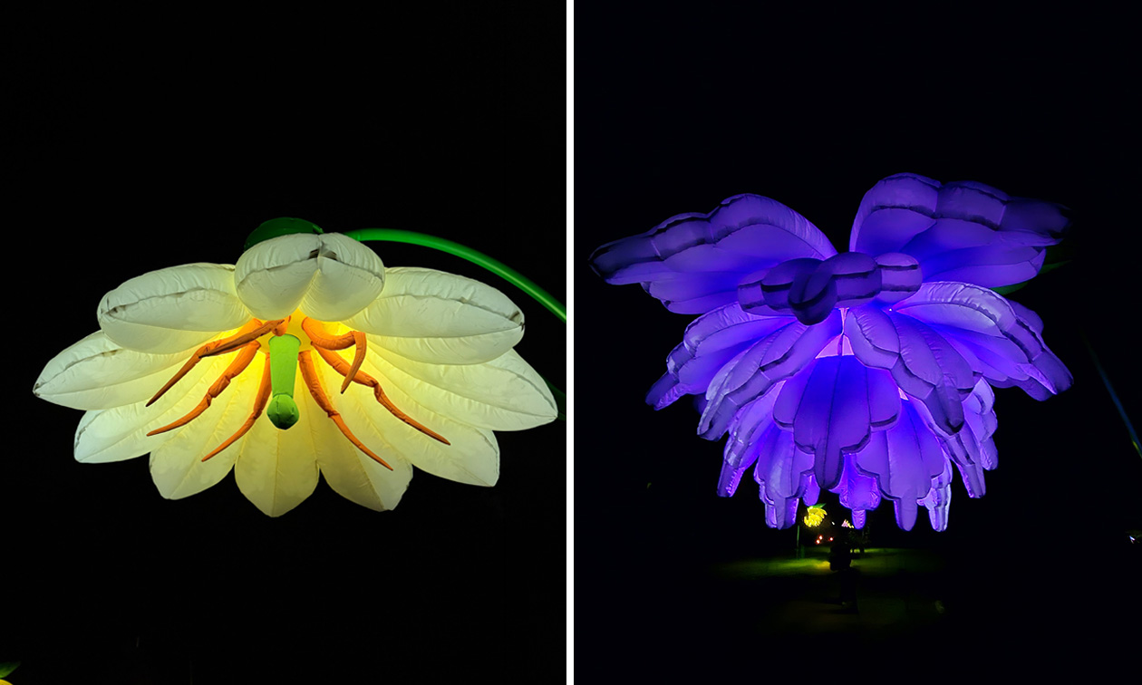 Lumina Rolduc - Lichtkunst in de Abdij