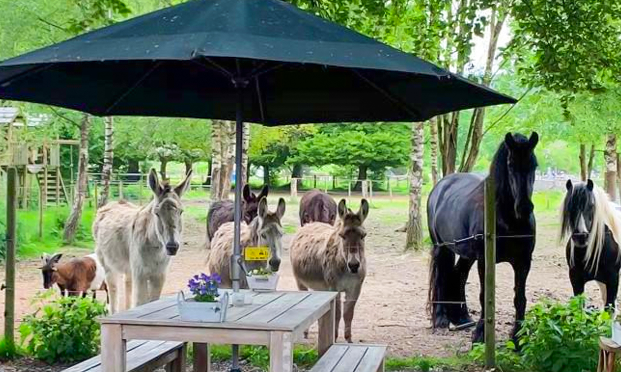 Nature & Mouvement - Roulotte