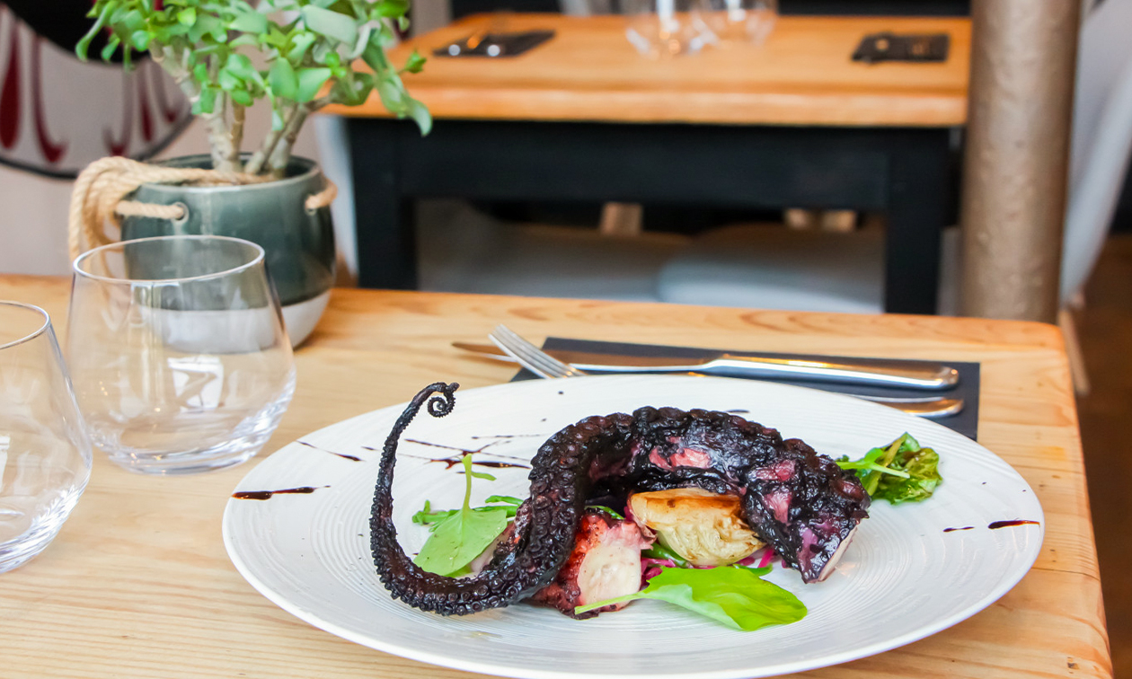 Octopus Lille