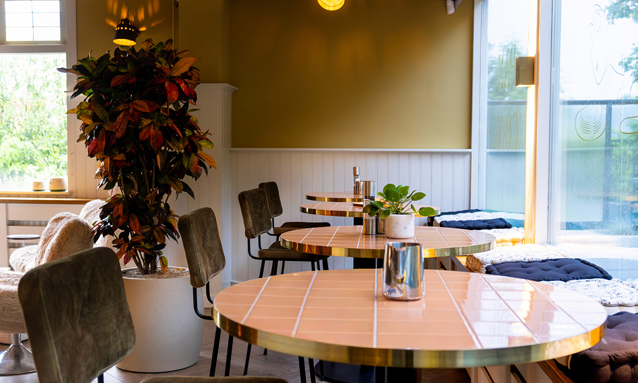Pan & Cook Prinsenbeek