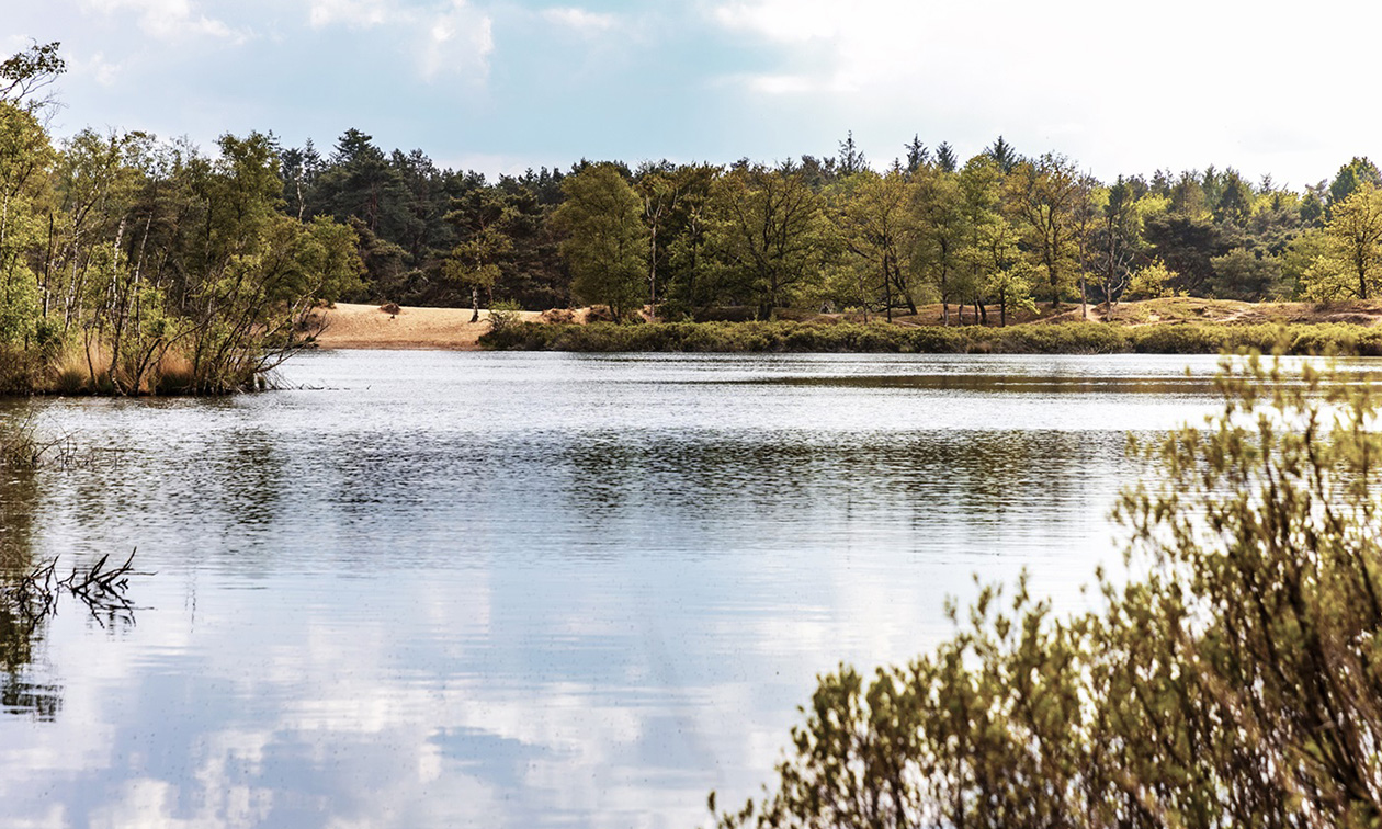 Park de Zeegser Duinen
