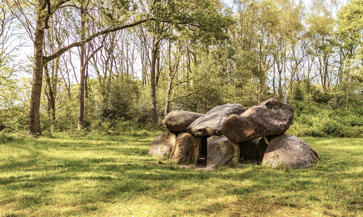 Park de Zeegser Duinen