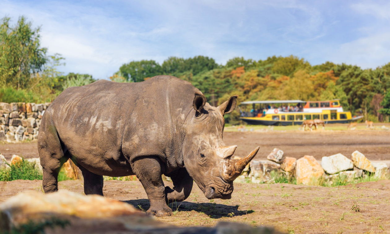 Safaripark Beekse Bergen