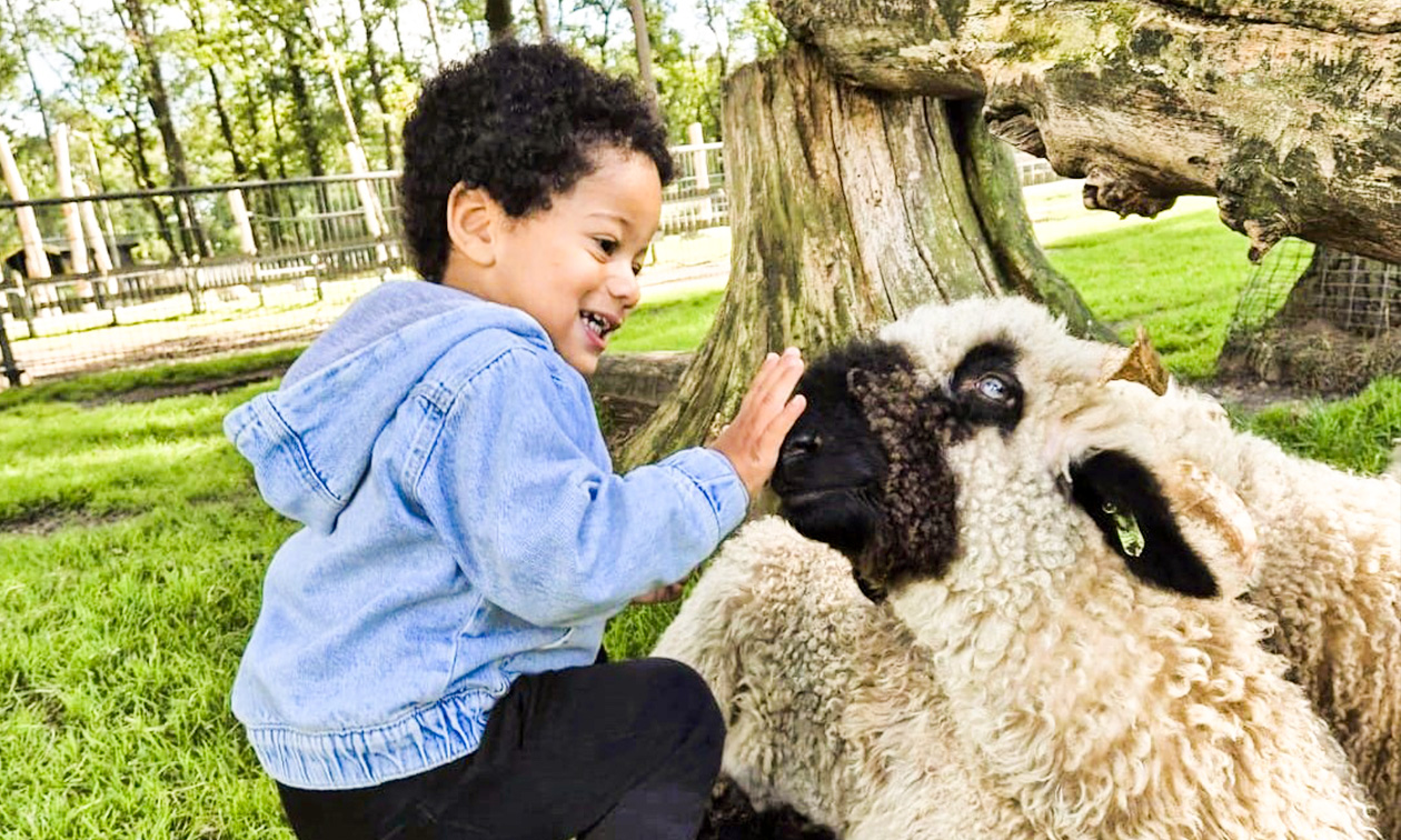 Speelboerderij Dondertman