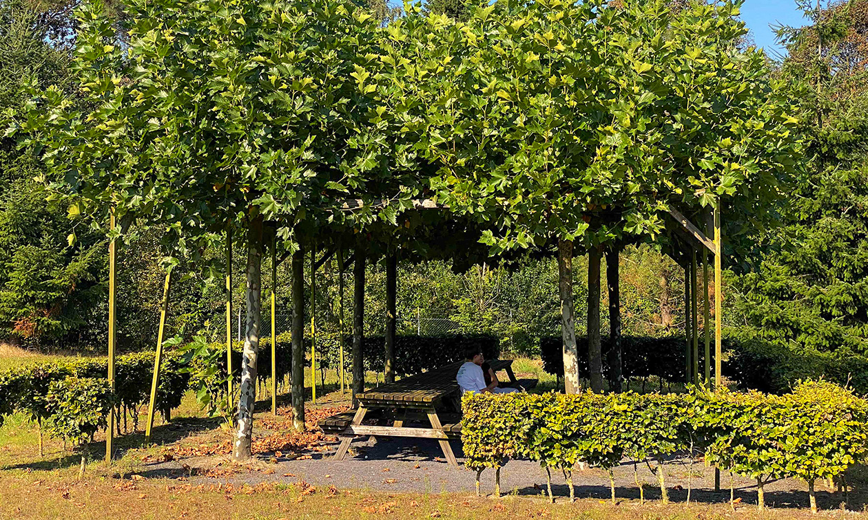 Summio Bosparc De Hoevenaer