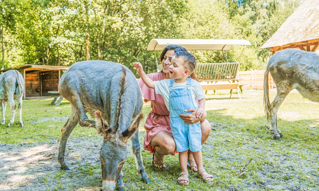 Vakantiepark Dierenbos
