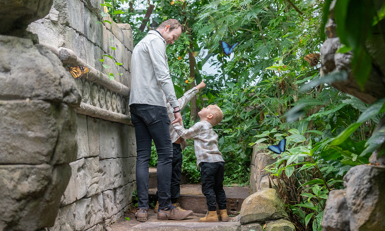 WILDLANDS Adventure Zoo Emmen