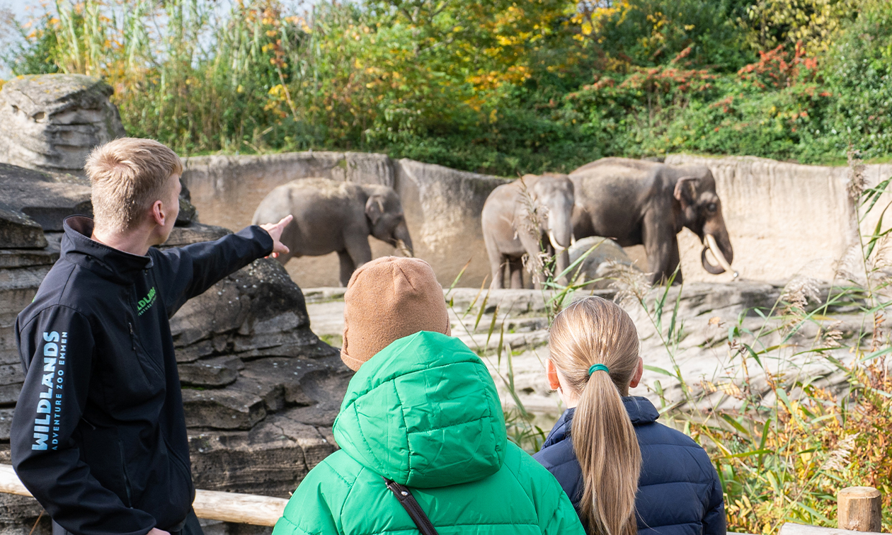 WILDLANDS Adventure Zoo Emmen