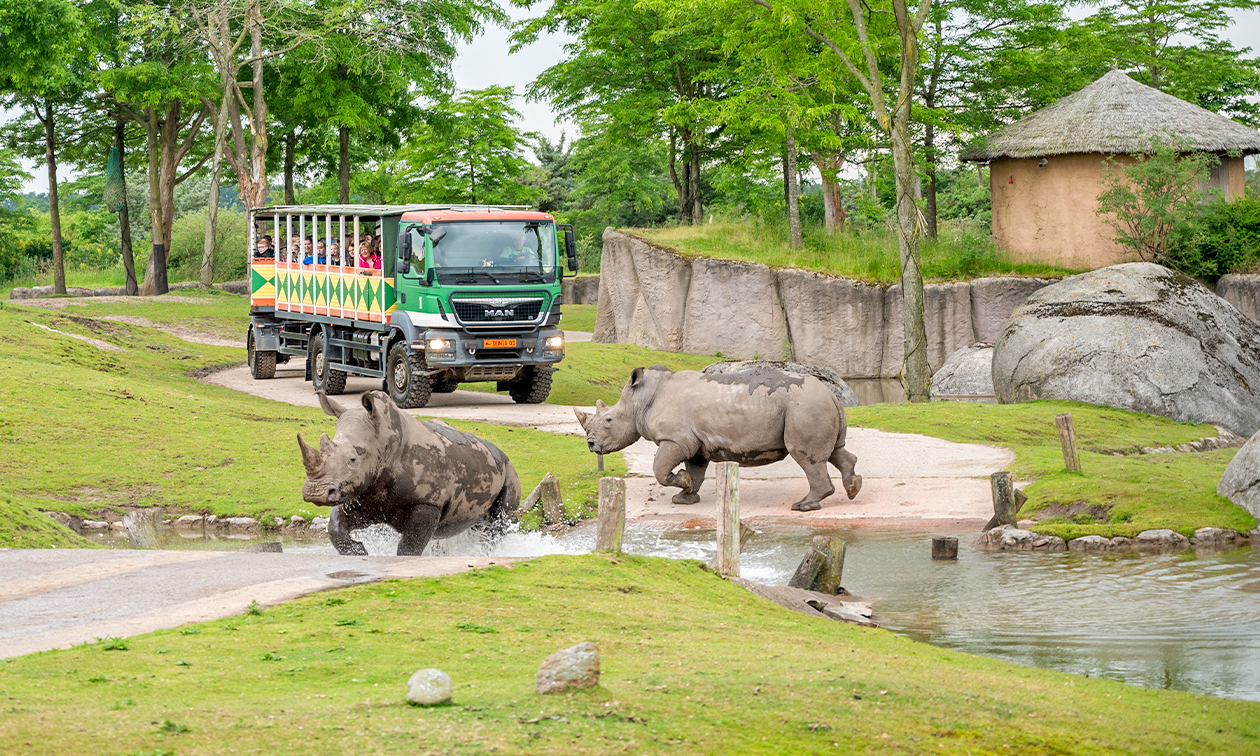 WILDLANDS Adventure Zoo Emmen