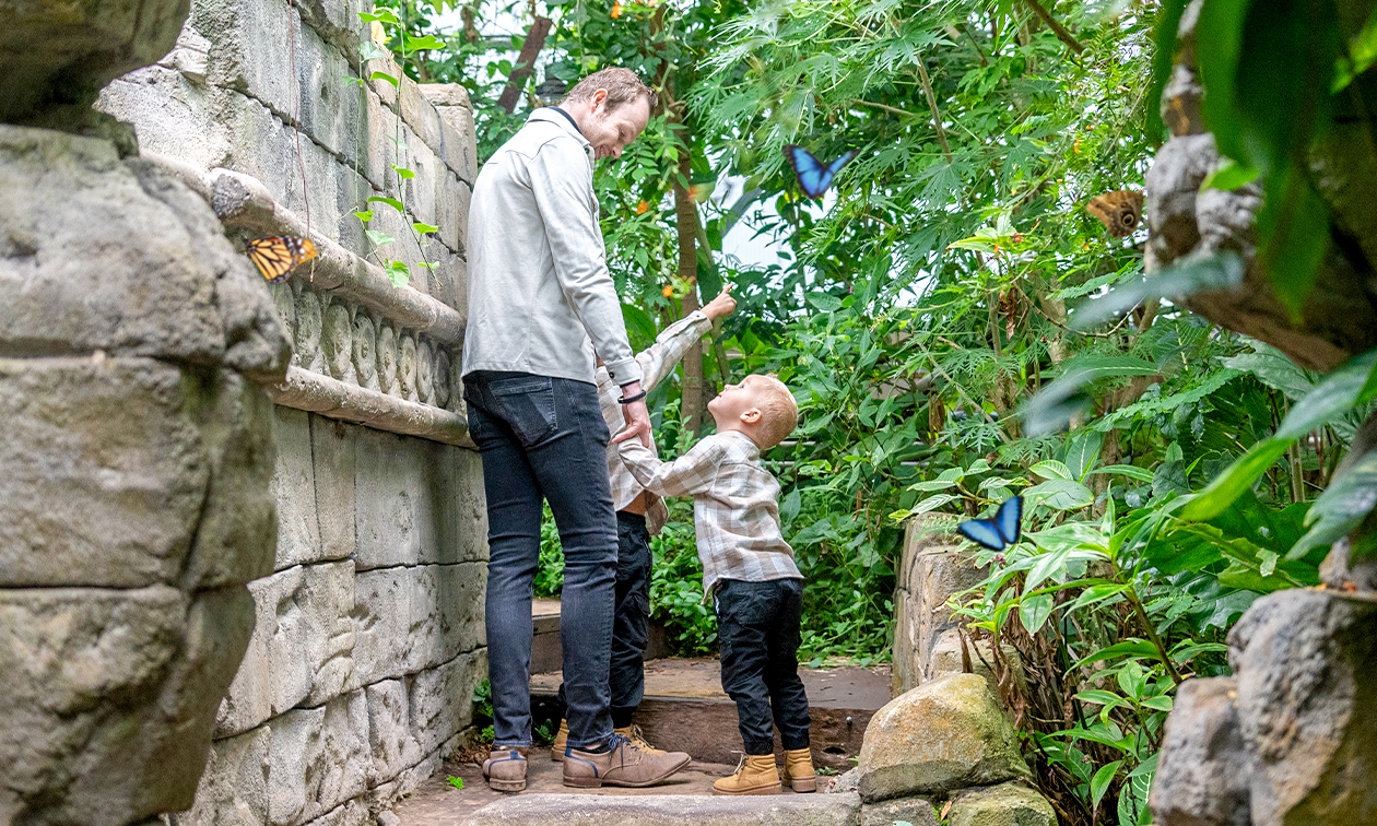 WILDLANDS Adventure Zoo Emmen