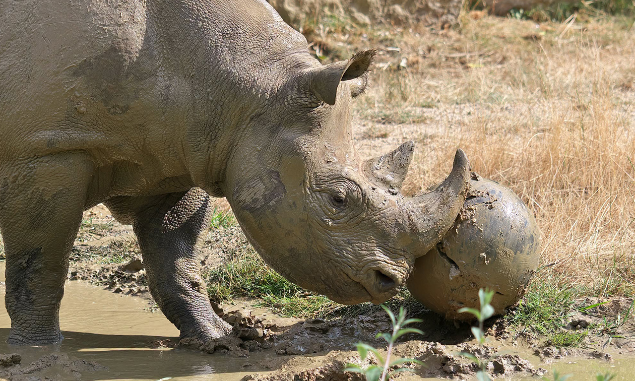 Zoo Krefeld