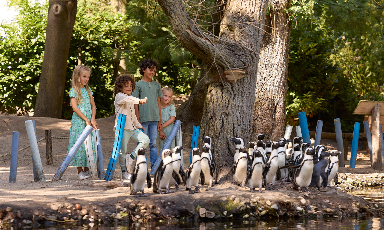 ZooParc Overloon