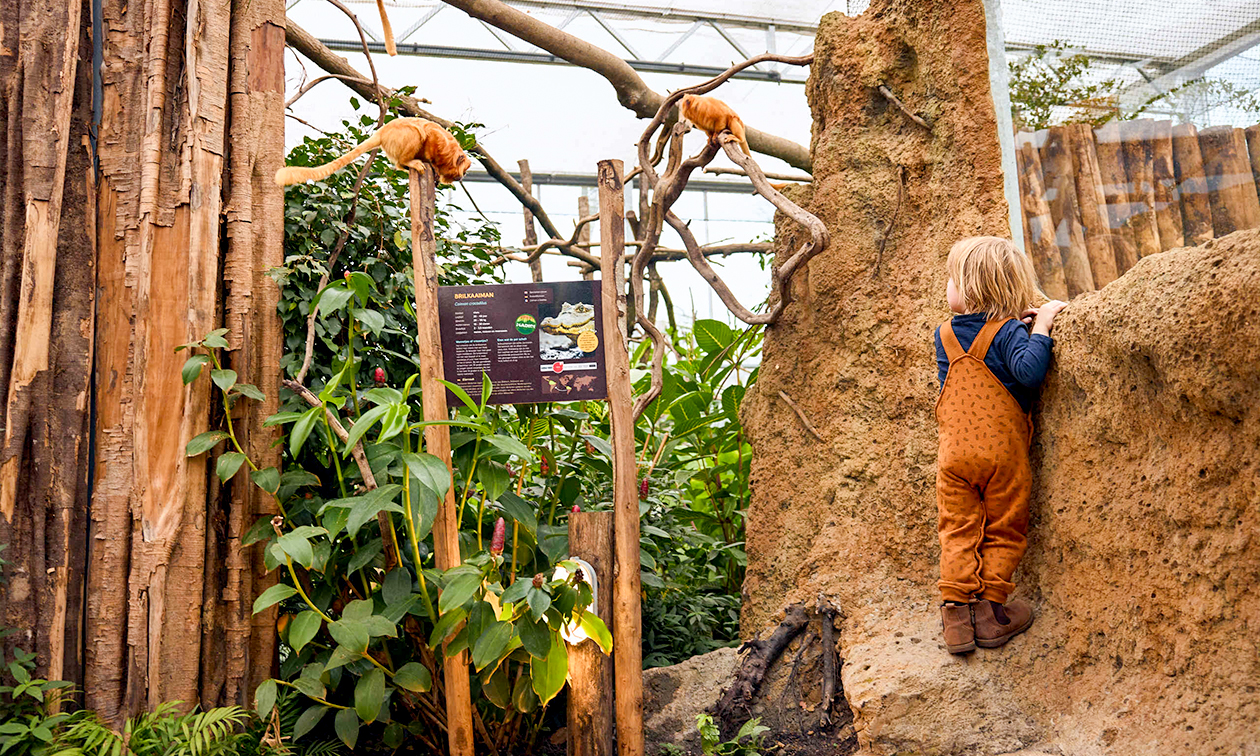 ZooParc Overloon