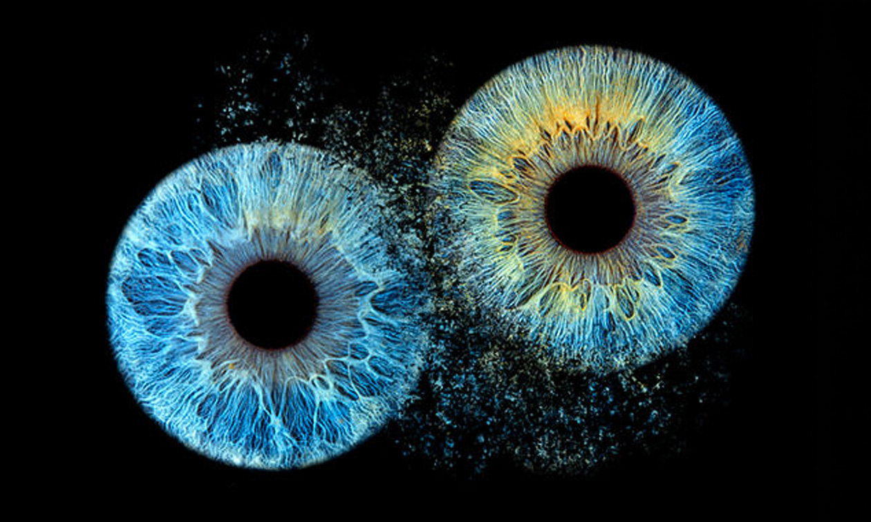 Iris-fotoshoot (1 tot 5 pers.) + 1 afdruk (20x20)