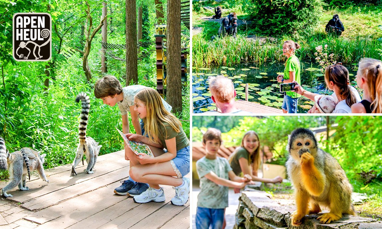 Entrée à la journée pour Apenheul