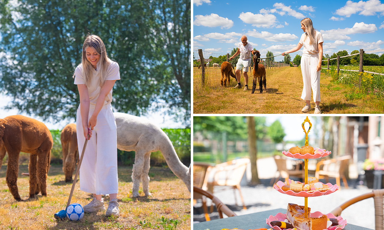 Alpaca-golf (1,5 uur) bij Beleefboerderij Heierhof