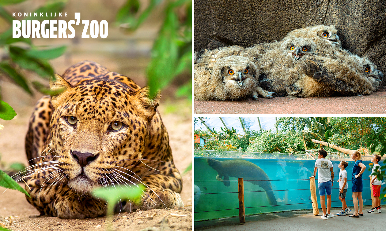 Eintritt in den Burgers' Zoo