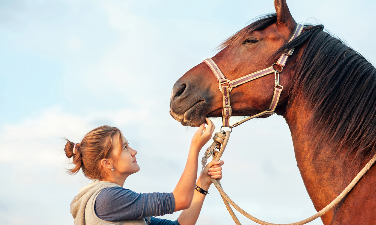 Paardencoaching (60 min)
