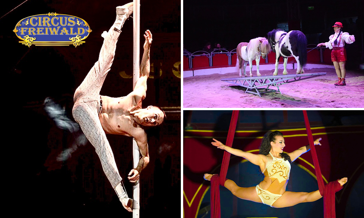 Eintritt Circus Freiwald