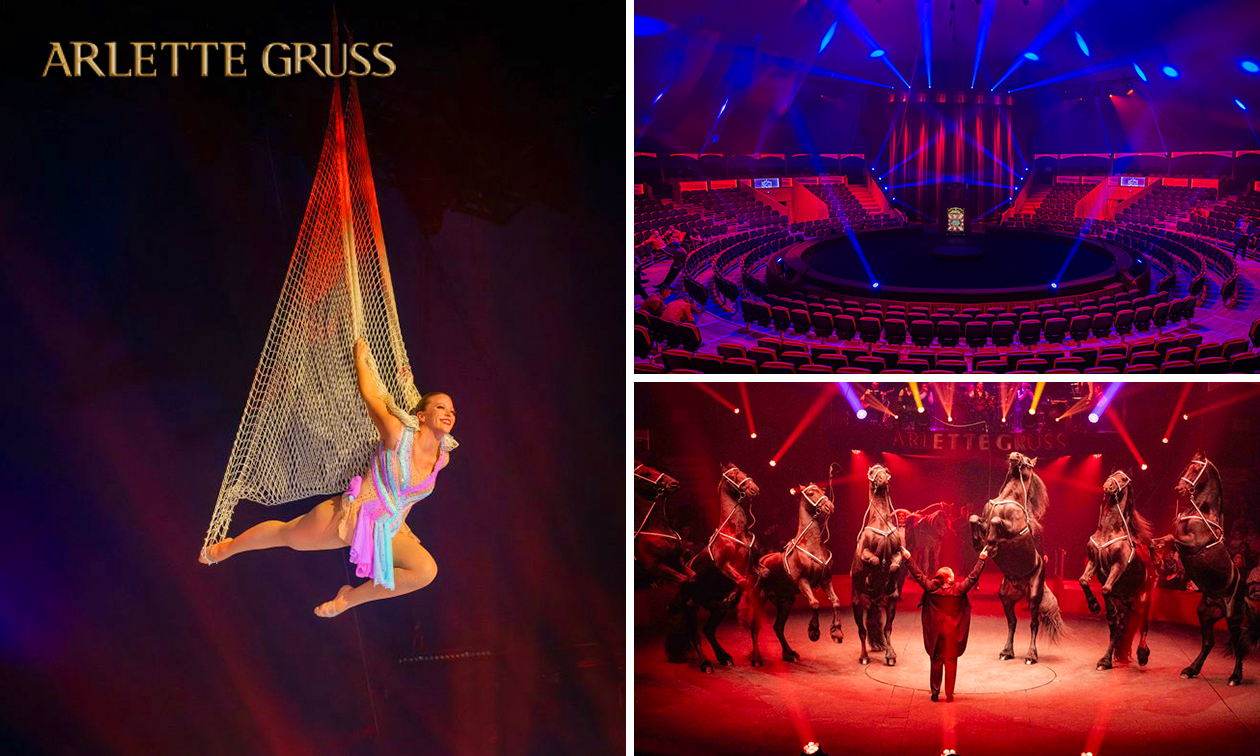 Entrée pour le Cirque Arlette Gruss