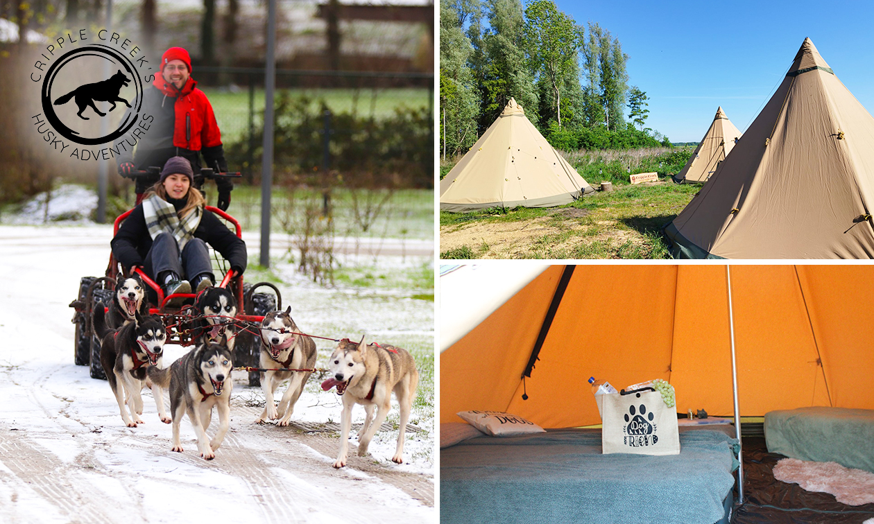 Nuit pour 1 + hike avec huskys, high tea, petit-déjeuner et plus encore