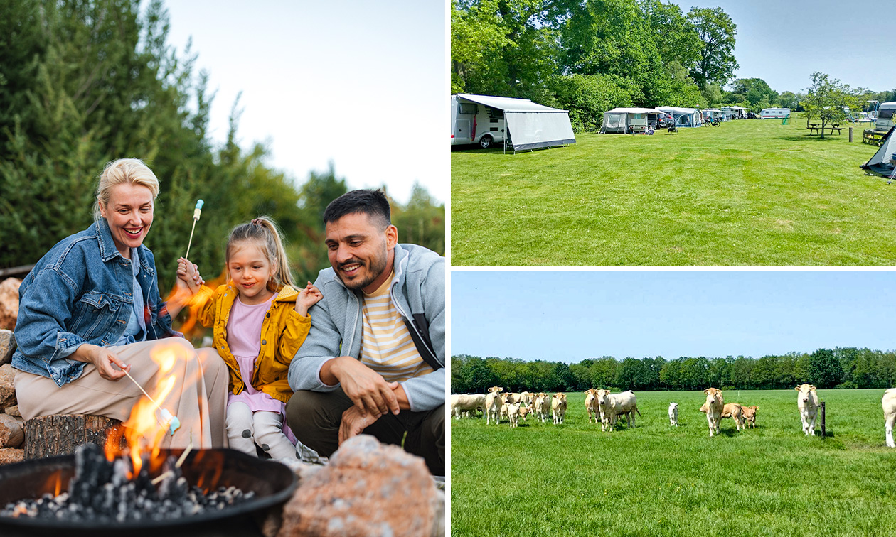 2, 5 ou 7 nuits de camping pour 2 + électricité + douches + eau chaude à Ruurlo