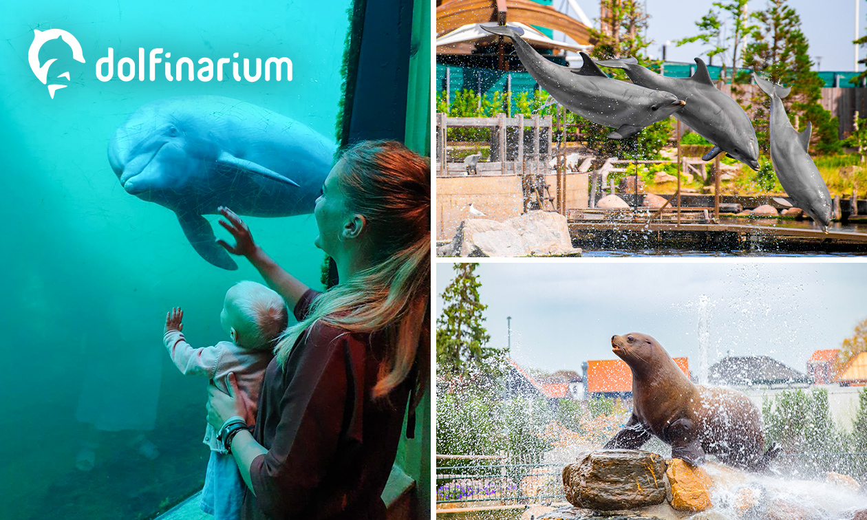 Entree voor het Dolfinarium