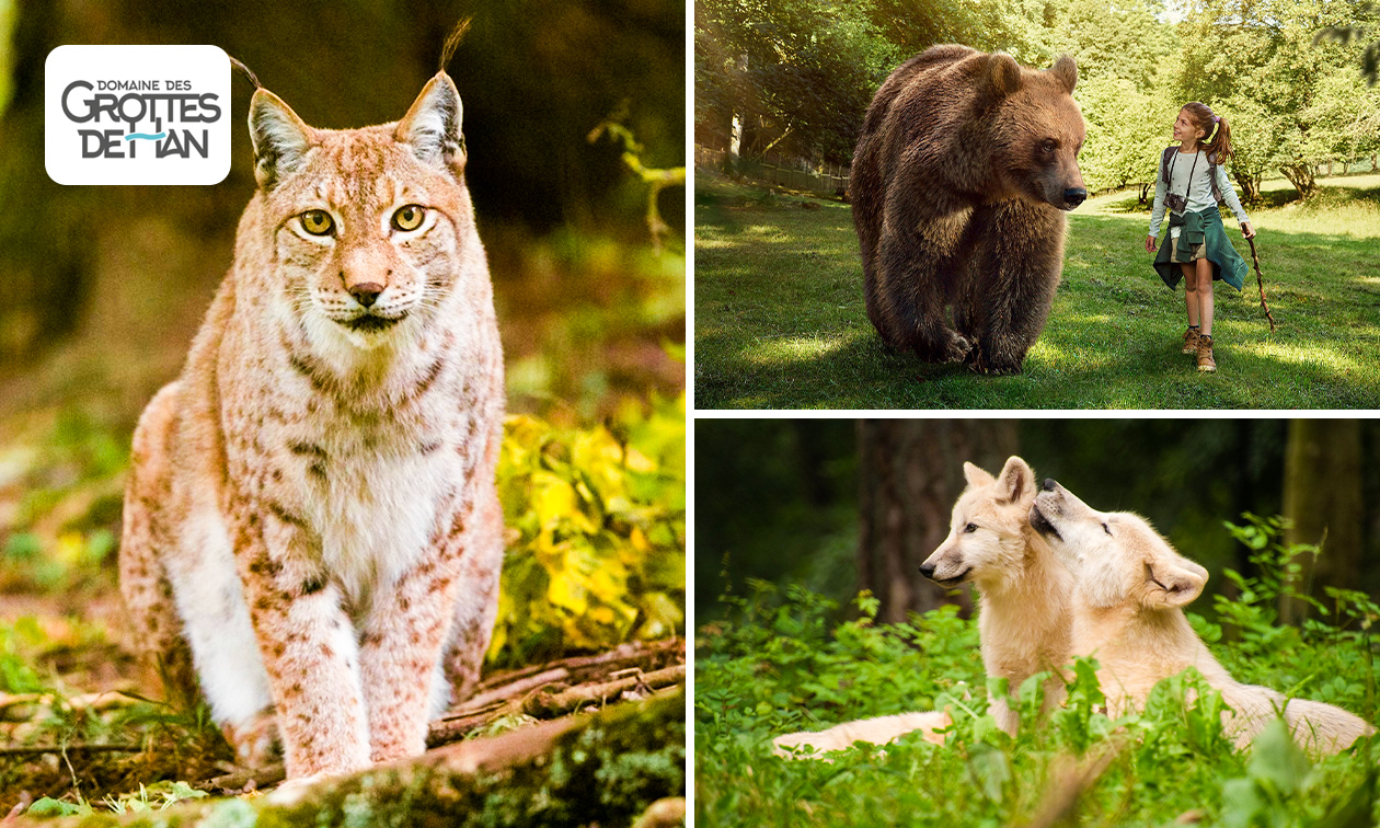 Entrée au Parc Animalier