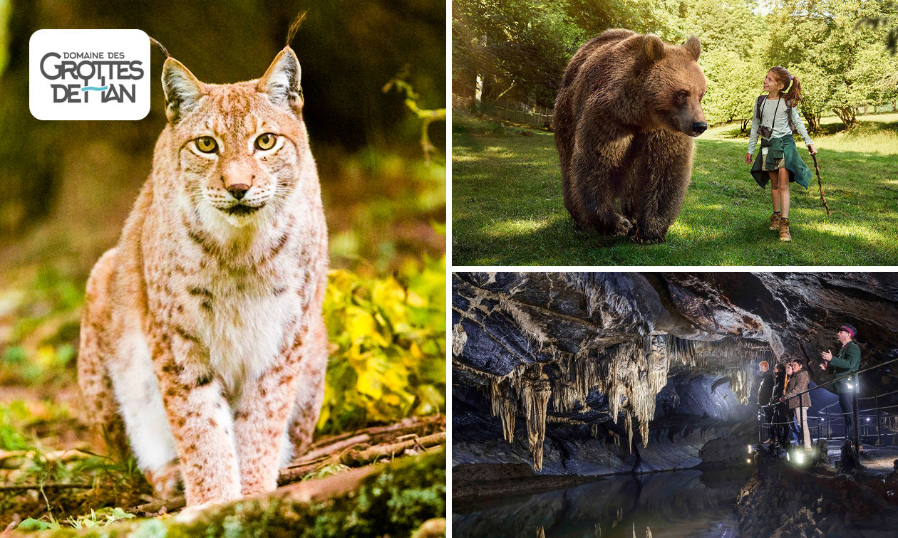 Entrée aux grottes de Han, au parc animalier et plus encore