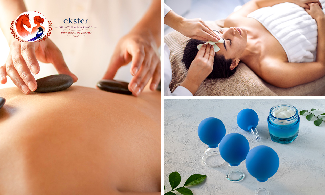Massage naar keuze (60 min)